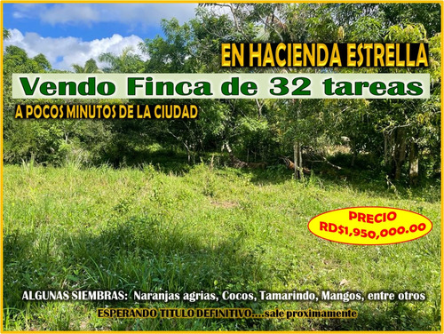Vendo Finca De 32 Tareas En Hacienda Estrella,  A 30 Minutos De La Ciudad, Rd$1,950,000.00