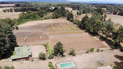 Campo Cercano A Freire