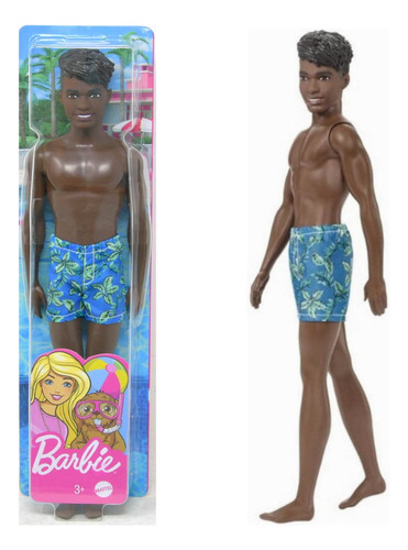 Mattel Ddc Barbie Beach Ken Muñeca Diversa
