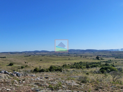 Imagen 19 de 30 de 79 Hás Campo Criador Y Serrano En Corte De La Leña