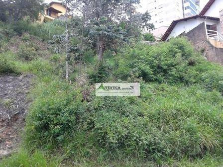 Imagem 2 de 8 de Terreno Residencial À Venda, Santa Lúcia, Belo Horizonte - Te0053. - Te0053