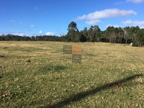 Terreno En Zona De Gran Desarrollo