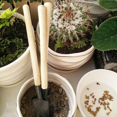 Imagen 7 de 10 de Set De Mini Palitas Y Rastrillo De Jardin 3 Pcs Jardineria