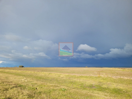 Imagen 10 de 30 de 532 Hectáreas Agrícolas Ganaderas Rocha