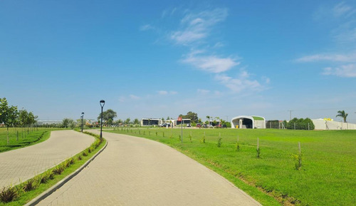 Terreno En Venta - 1.415mts2 - Developer Park - Mar Del Plata