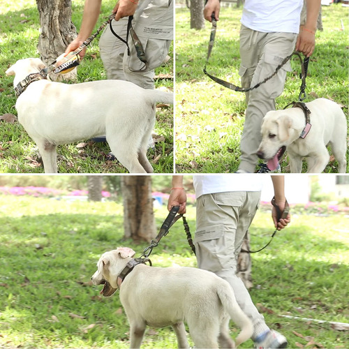Correa Para Perros Actical Resistente Para Perros Medianos Y