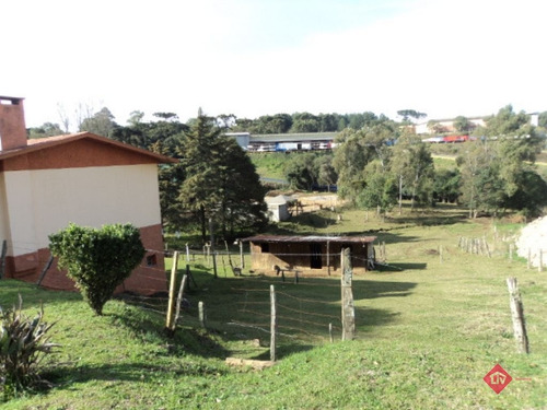 Imagem 4 de 13 de - V-211