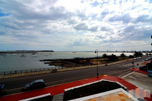 Imagen 19 de 30 de Apartamento En Punta Del Este, Peninsula