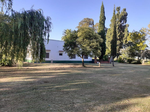 Imagen 3 de 6 de Campo 300 Has Entre La Criolla Y Crespo