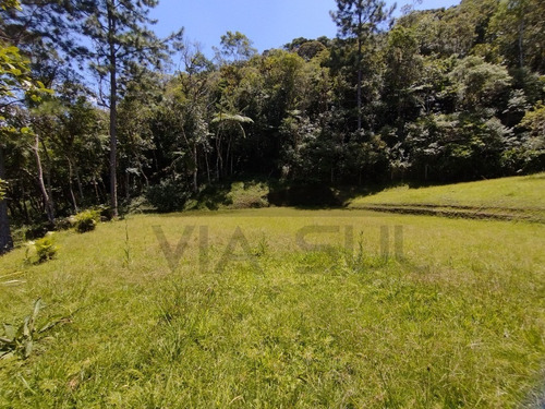 Imagem 28 de 30 de Belíssimo Sítio, Com Excelente Topografia E Rico Em Água - 52 - 70636338