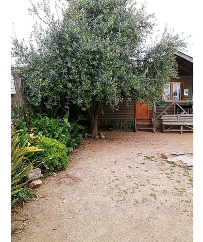 Último Precio Rebajado 6 Cabañas Horcón Funcionando!