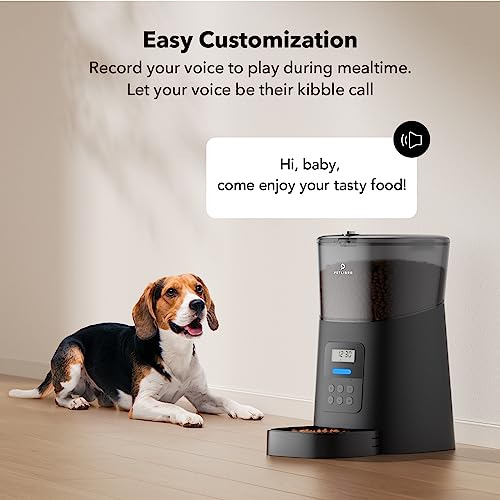 Alimentador Automático Gatos 6l Dispensador Automátic...