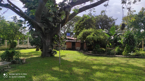 Imagen 7 de 14 de Venta Mini Granjas La Consolacion Pozo Planta Cod. 164898 Cesar Laurentin