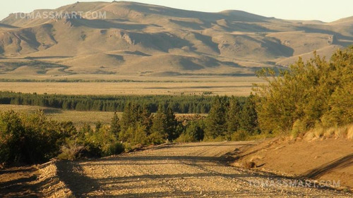 Imagen 3 de 7 de Terreno - Dina Huapi