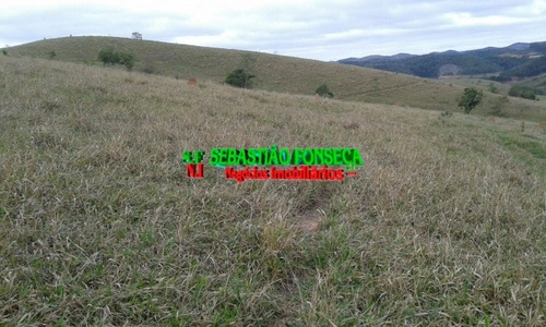 Imagem 9 de 15 de Fazenda Em Santa Branca 125 Alqueires - 805