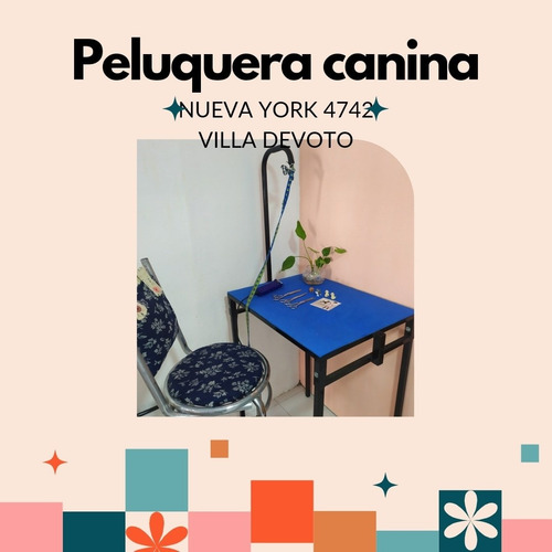 Imagen 3 de 8 de Peluquera Canina A Domicilio También Espacio Propio.caba