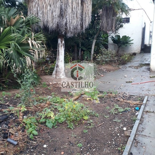 Imagem 8 de 15 de Terreno Com Casas Antigas A Venda Área De 1.397m2 Na Vila Ivone - Mo23052