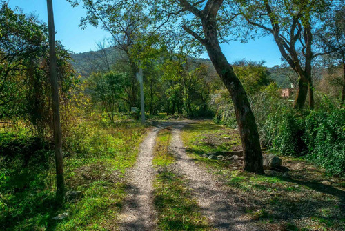 Imagen 2 de 12 de Terreno + Venta + Castellanos + 1.693 M2