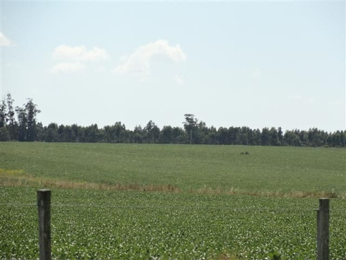 Campo En Venta En Solís De Mataojo