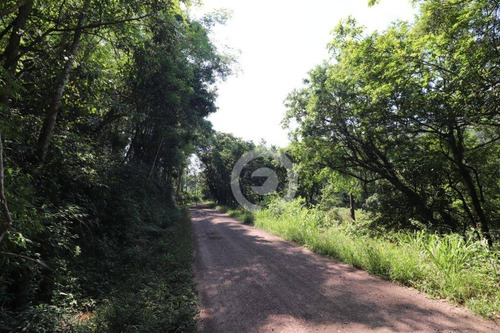 Imagem 9 de 15 de Área De Terra À Venda Em Picada Schneider 30000 M²- Presidente Lucena/rs - Ar0014