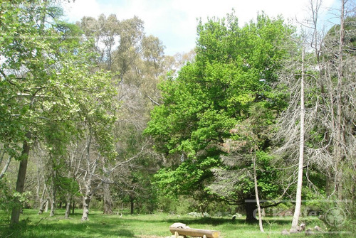 Campo Mixto En Venta De 228 Has Sobre Ruta 29 -en Brandsen