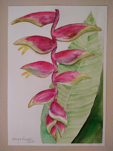 Imagem 3 de 4 de Curso De Aquarela Online
