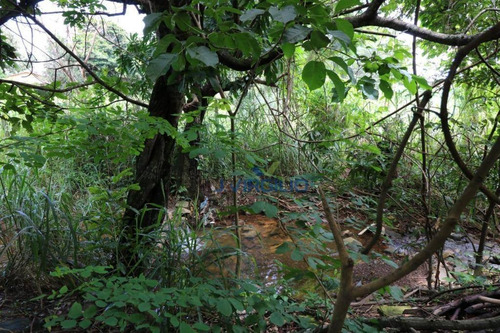 Imagem 2 de 15 de 2 Chácara À Venda, 10.600 M² Por R$ 1.200.000 - Jardim Riviera - Aparecida De Goiânia/go - Ch0027