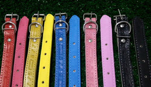 Collar de cuero con forro Eva N1 06 piezas de colores variados Cuello de cuero Eva Tamaño del cuello 32 cm