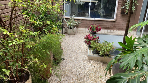 Imagem 2 de 2 de Serviço Jardinagem E Paisagismo