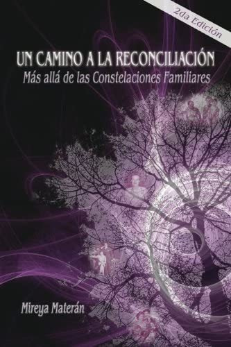 Libro: Un Camino A La Reconciliación.: Más Allá De Las Const