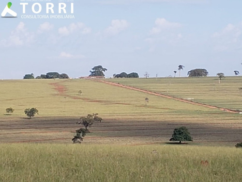 Fazenda Em Anaurilândia Ms - Fa00062 - 68121734