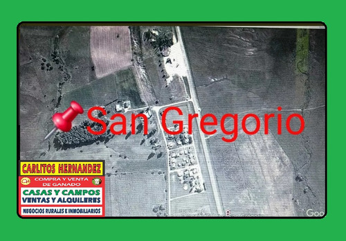 En  Zona De  San Gregorio De Carro  En  San  Jose - Necesitamos Propiedades Para Venta Y Alquiler .