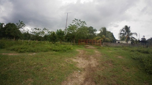 Imagen 9 de 30 de Finca En Venta San Felipe 1500 Ha, #23-14481