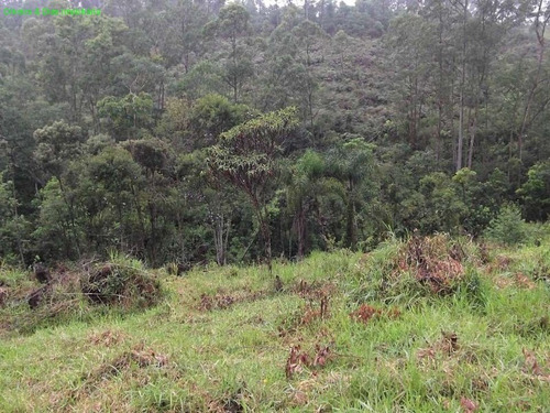 Terreno - Te00070 - 69474039
