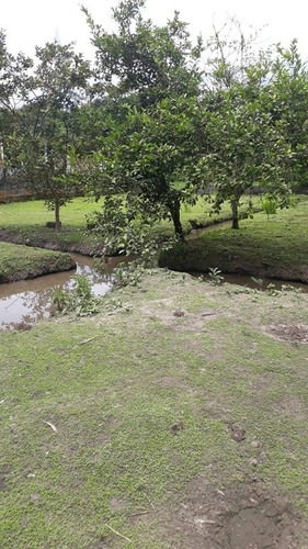 Rural Para Venda, 2 Dormitórios, Parque Da Alvorada - Itanhaém - 12420