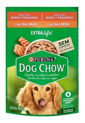 Imagen 1 de 1 de Alimento Dog Chow Salud Visible Sin Colorantes para perro adulto de raza mini y pequeña sabor salmón en sobre de 100g