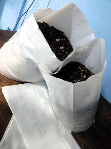 Macetas Nylon Negra 5.0 Lts - Vivero Agro Jardín (x1000)