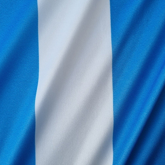 Telas De Bandera Argentina Por Metro | MercadoLibre 📦 Telas De Bandera Argentina Por Metro | MercadoLibre 📦
