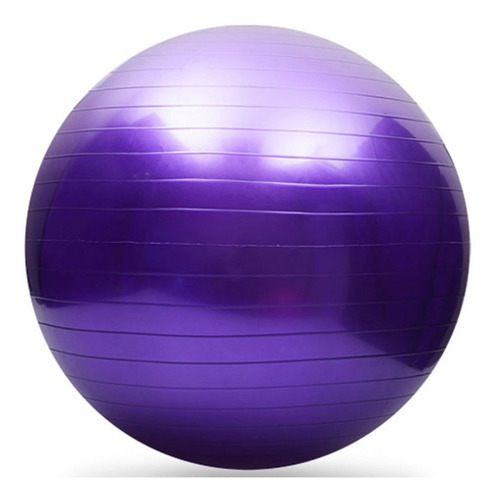 Bola Suiça Pilates 65cm Com Bomba Yoga Abdominais 150kg