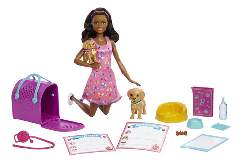 Boneca Barbie Com Acessórios Adota Um Cachorrinho Mattel