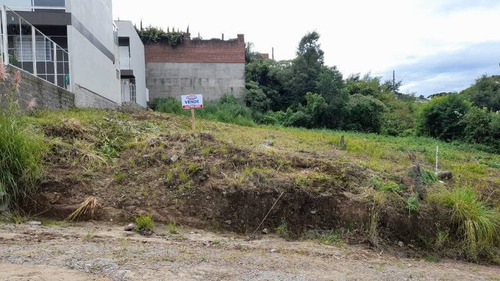 Terreno - Sao Francisco - Ref: 8238 - V-8238