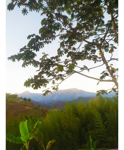 Vendo Terreno 1280 M2 La Lagunita