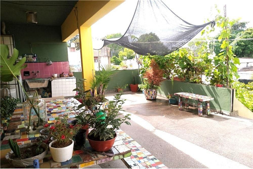 Imagen 9 de 14 de Venta 2 Locales + Depto 3 Amb + Patio En Quilmes