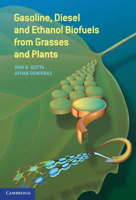 Libro Gasoline, Diesel, And Ethanol Biofuels From Grasses...