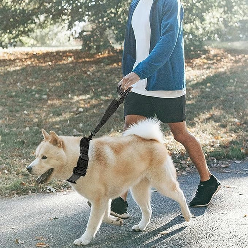 Collares Táctico Y Cuerda Para Perros Medianos Y Grandes Color Negro Tamaño Del Collar L