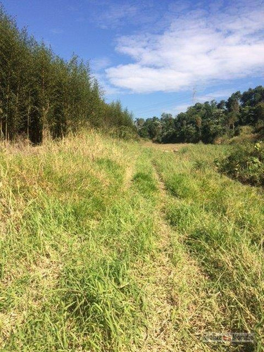 Imagem 4 de 9 de Terreno À Venda, 1100000 M² Por R$ 9.000.000,00 - Mombaça - Itapecerica Da Serra/sp - Te0007