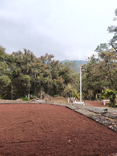 Hotel Encantado En Venta: Una Inversión Mística En El Corazón De Chignahuapan