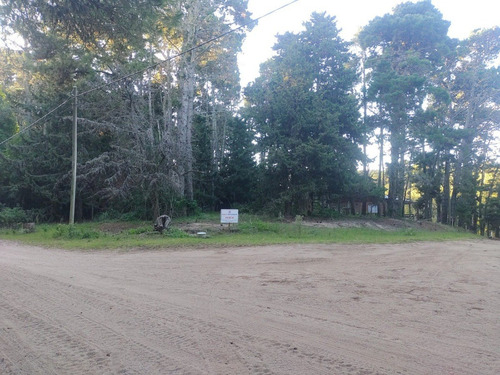 Imagen 3 de 4 de Lote C/ Forestación, Muy Bien Ubicado, En Mar Azul, Apto Para 2 Unidades