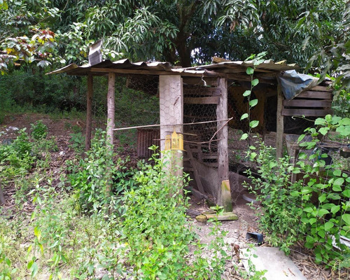 Imagem 5 de 5 de Sitio Em Esmeraldas - St00055 - 34952944