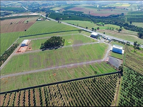 Imagem 3 de 28 de Terreno Industrial, W Park Condomínio Industrial, Mongi Mirim - Te08616 - 34837415